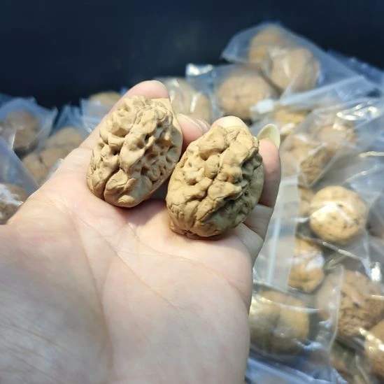 文玩核桃把件蝎子