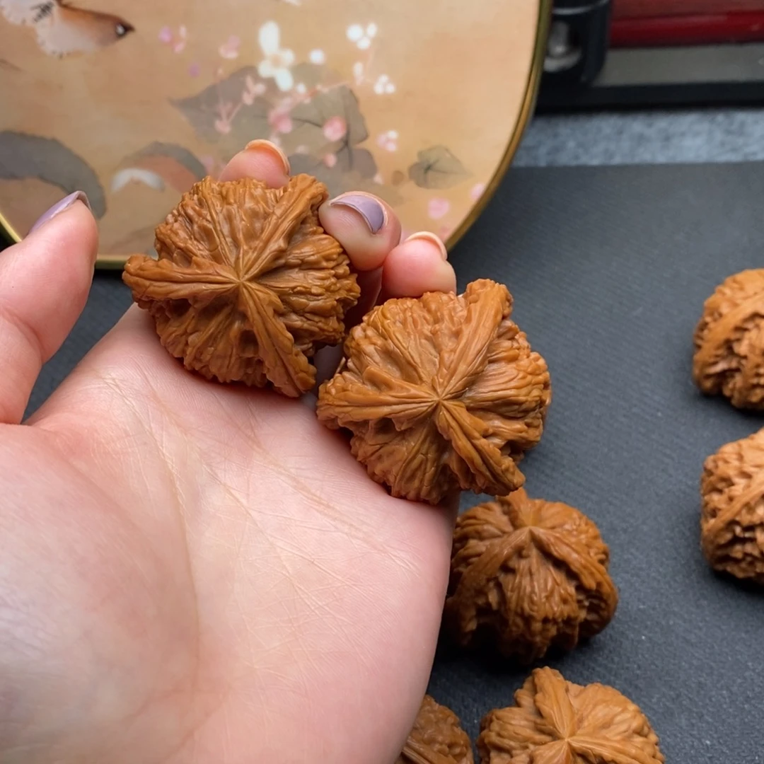 北*白狮子111111111111