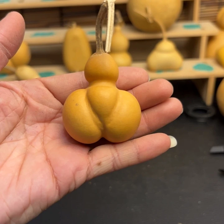 协****生葫芦娃救爷爷葫芦葫芦葫芦