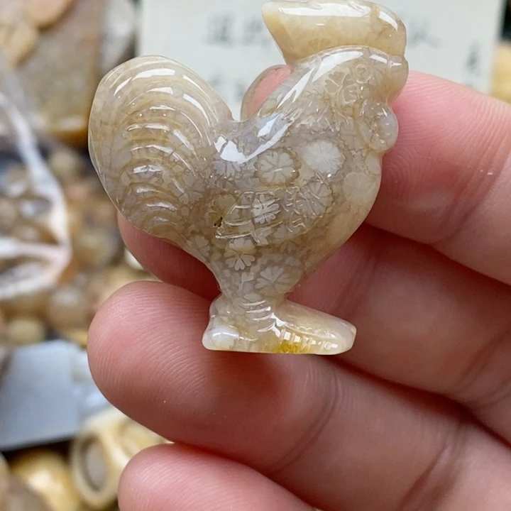 硅化珊瑚（珊瑚玉）未镶嵌颈饰有瑕 小吊坠