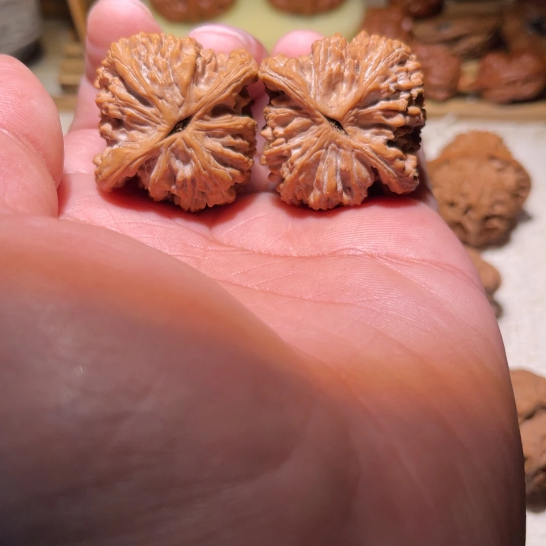 S***F把件文玩核桃堂虎