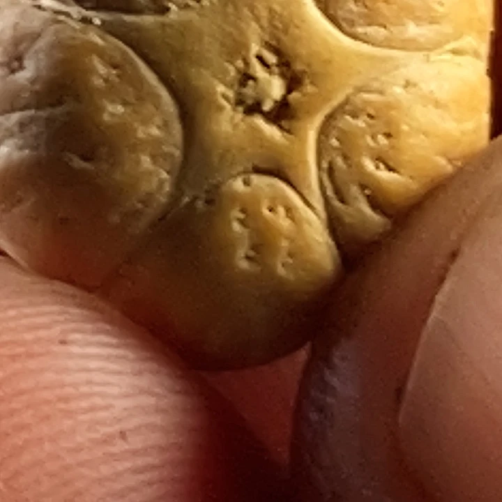 凤眼菩提吊坠尼泊尔凤眼五星