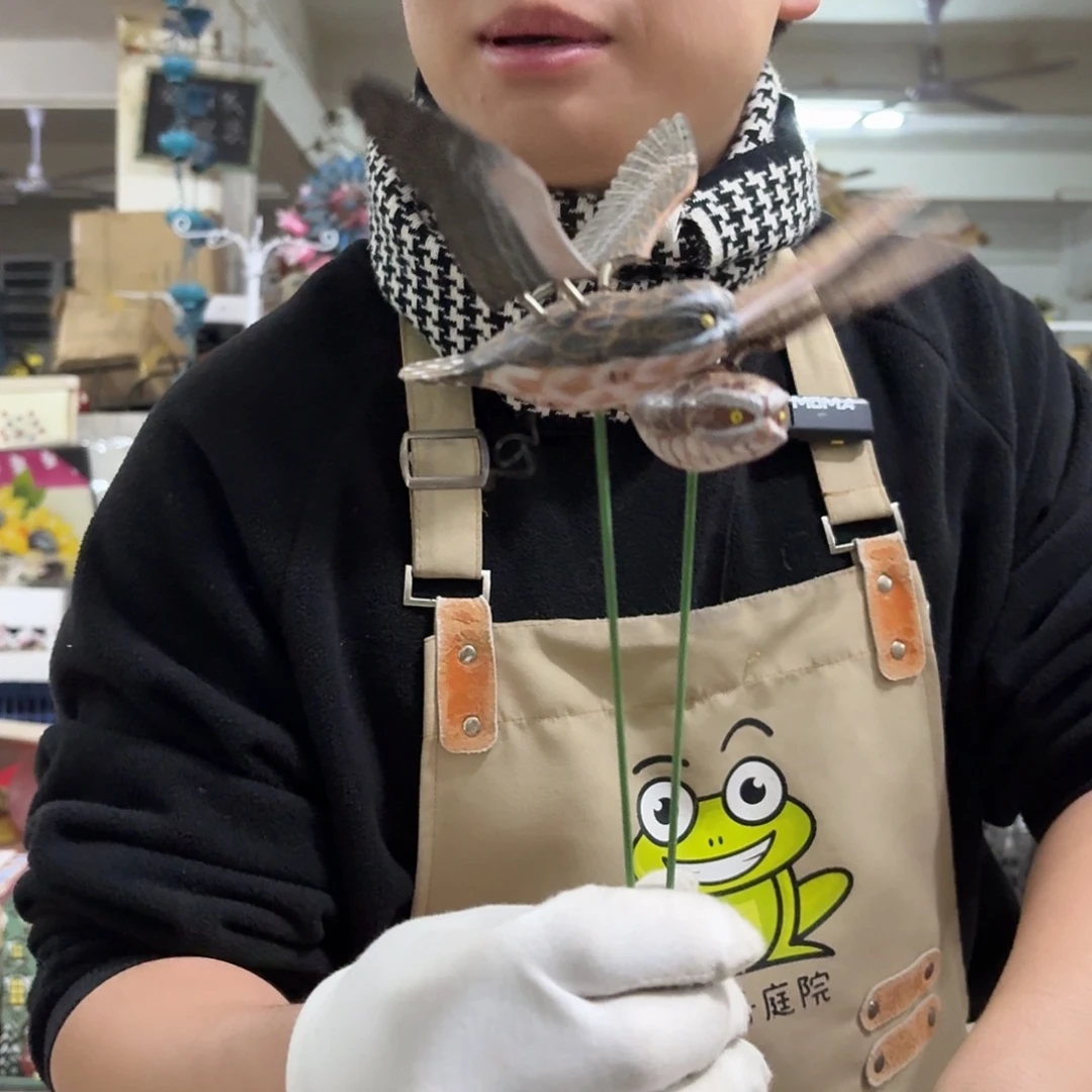 核桃木/黑胡桃（胡桃木）