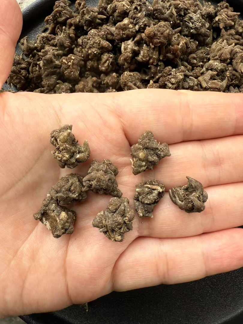 野山 猫爪草 粒粒分明 百合干250克