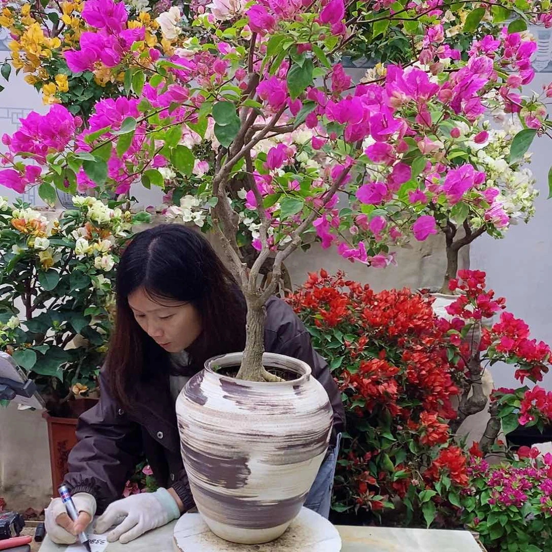 完全开放我要好好学习