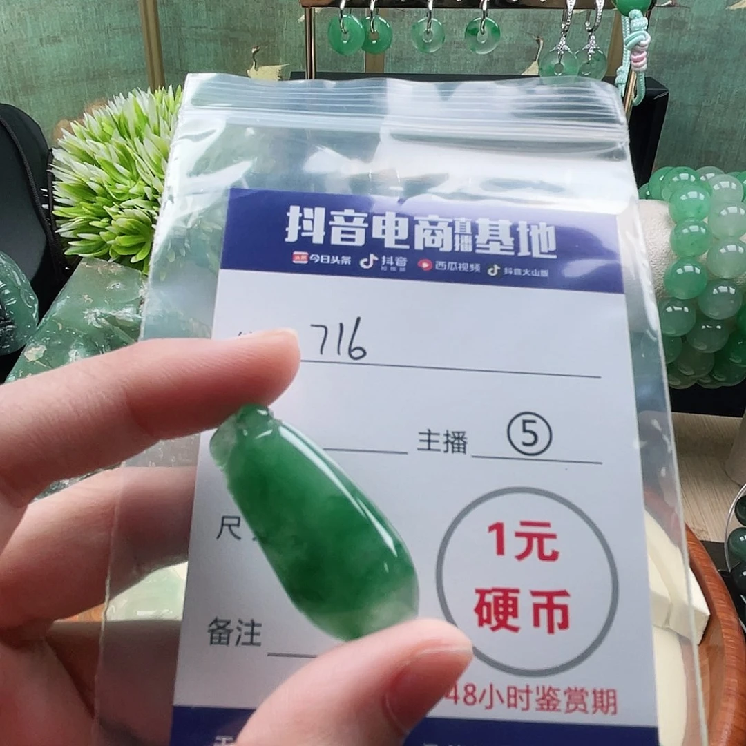 石英质玉未镶嵌颈饰