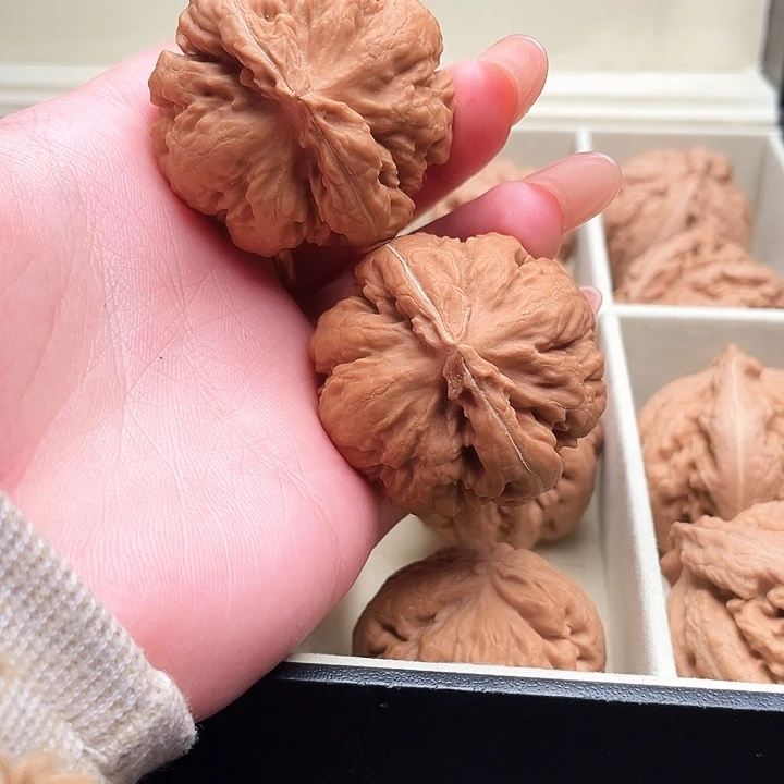 看***风霸王龙核桃尺寸41