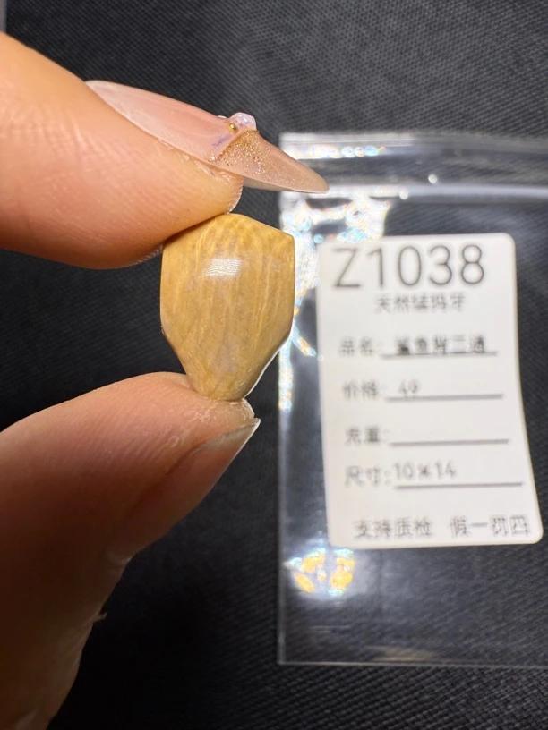 Z1038天然猛犸牙冰咖鲨鱼背三通配饰