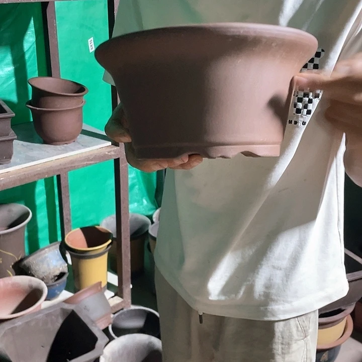 花盆花盆花盆花盆花盆