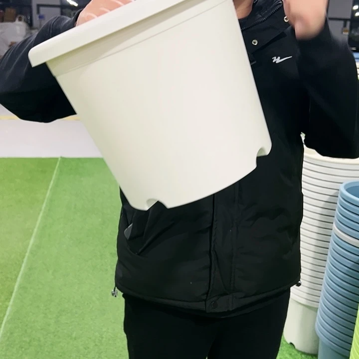 特价5号口29高24.5白色10只无托