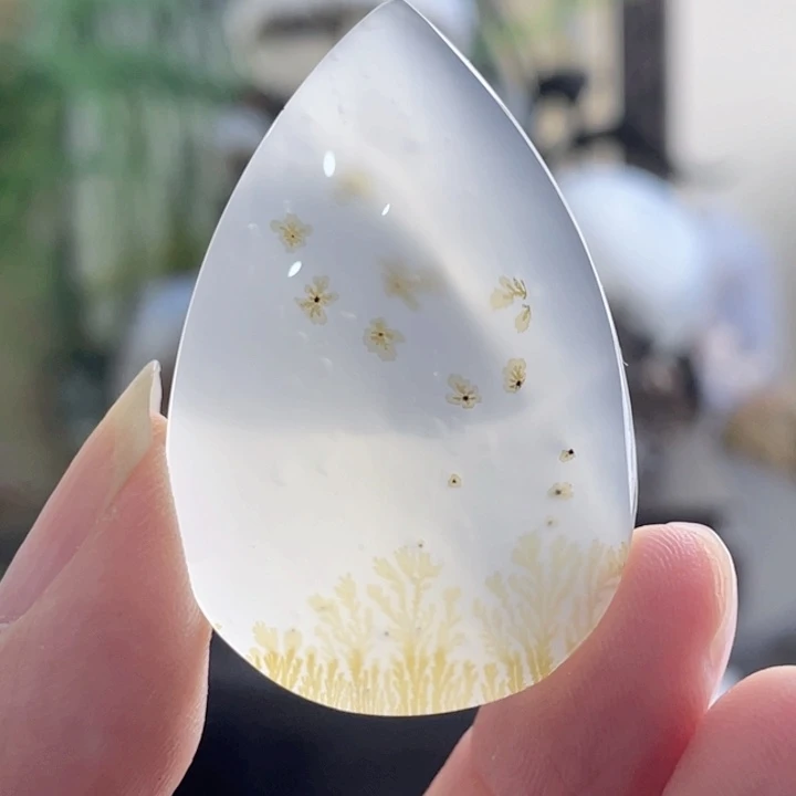 未镶嵌玛瑙/玉髓珠宝半成品