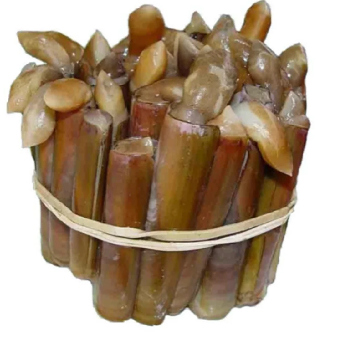 鲜活小竹节蛏  竹蛏子（500g一份）