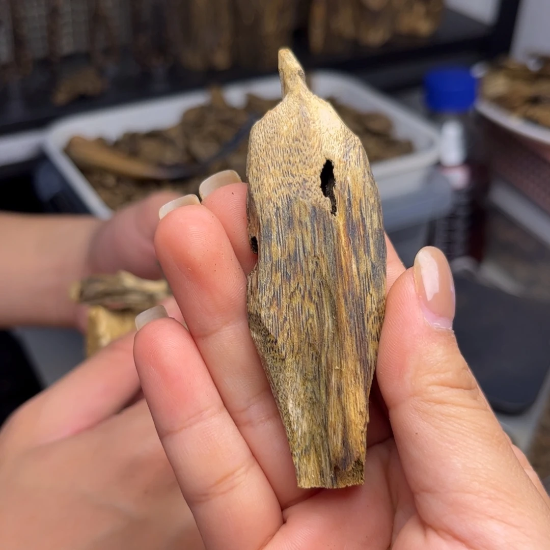 沉香沉香碎屑奇楠沉香熏香白棋虫漏8克