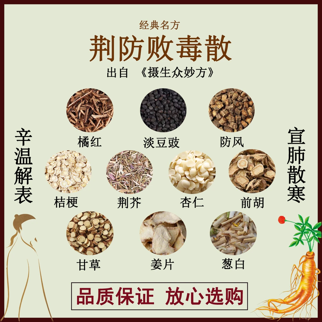 荆防败毒散橘红淡豆豉荆芥防风桔梗杏仁前胡甘草干姜葱白中药材