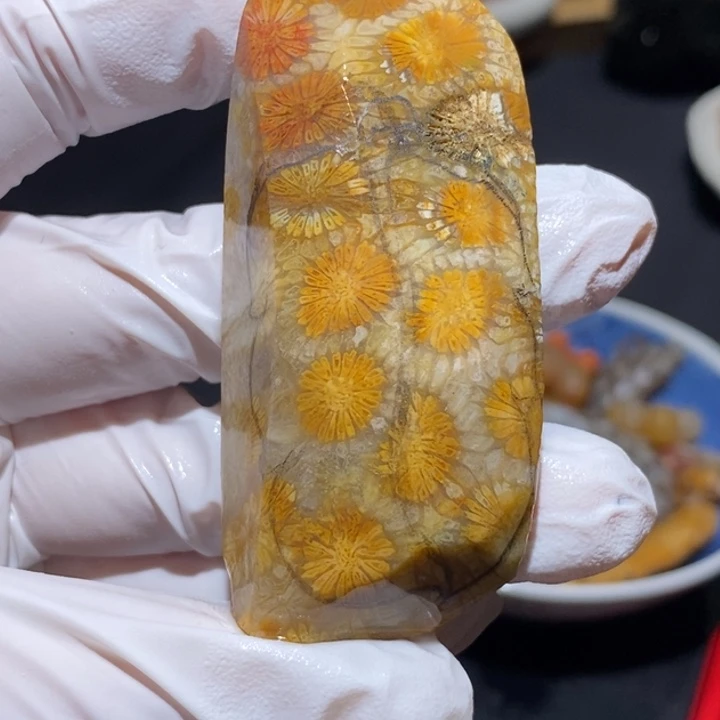 【闪购商品】未镶嵌珊瑚玉硅化玉包工包料叶子