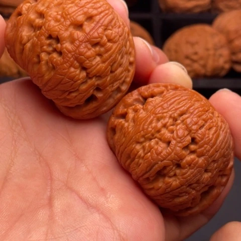 文玩核桃把件秦岭山脉核桃