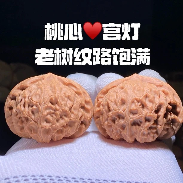 邢台内丘老树宫灯狮子头