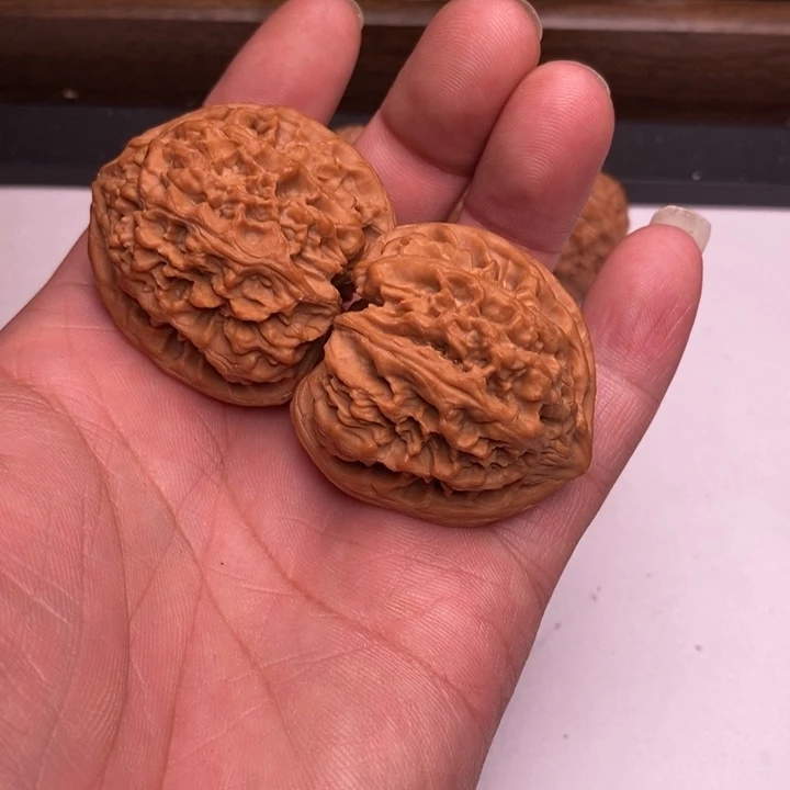 菩***根野牛狮子头40尺练手对