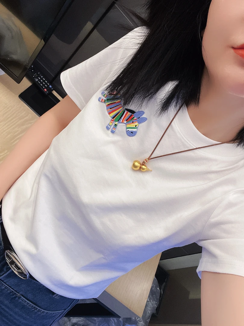 哝NONG-2025春夏新款欧若风彩色刺绣小马短袖T恤上衣DTJ-Y0792322