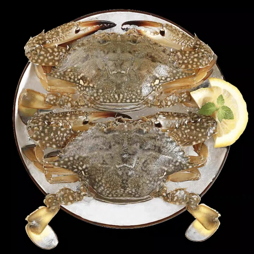 【冻蟹】野生海捕新鲜冻2斤4到6只一只3到5两兰花蟹