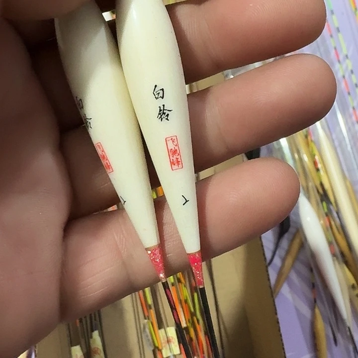 白灵飞驰风一单一个二号