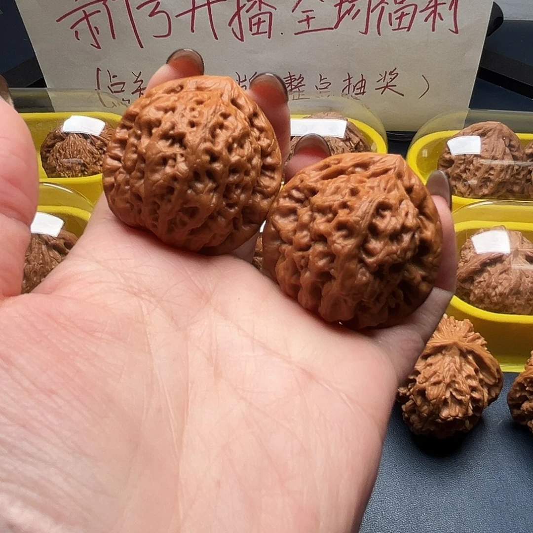 核桃39尺寸金公子