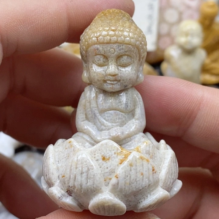 颈饰未镶嵌硅化珊瑚（珊瑚玉）