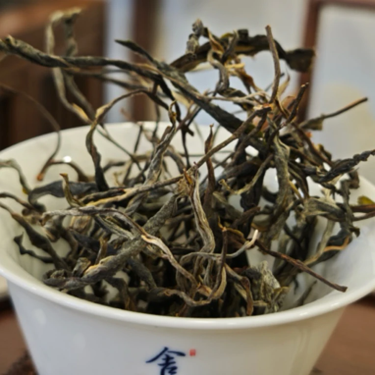 2025年秘境单株100克品鉴普洱茶叶生普洱装