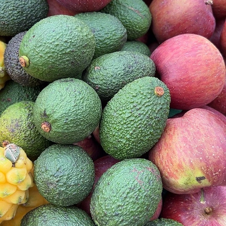 中国大陆牛油果12个