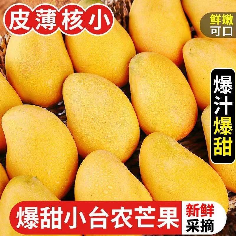 海南小台芒果新鲜台芒小芒现摘应季热带水果当季小鸡蛋芒果