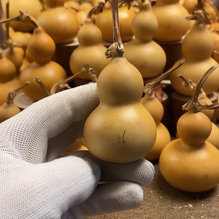 文玩葫芦 完美主义者 慎拍56