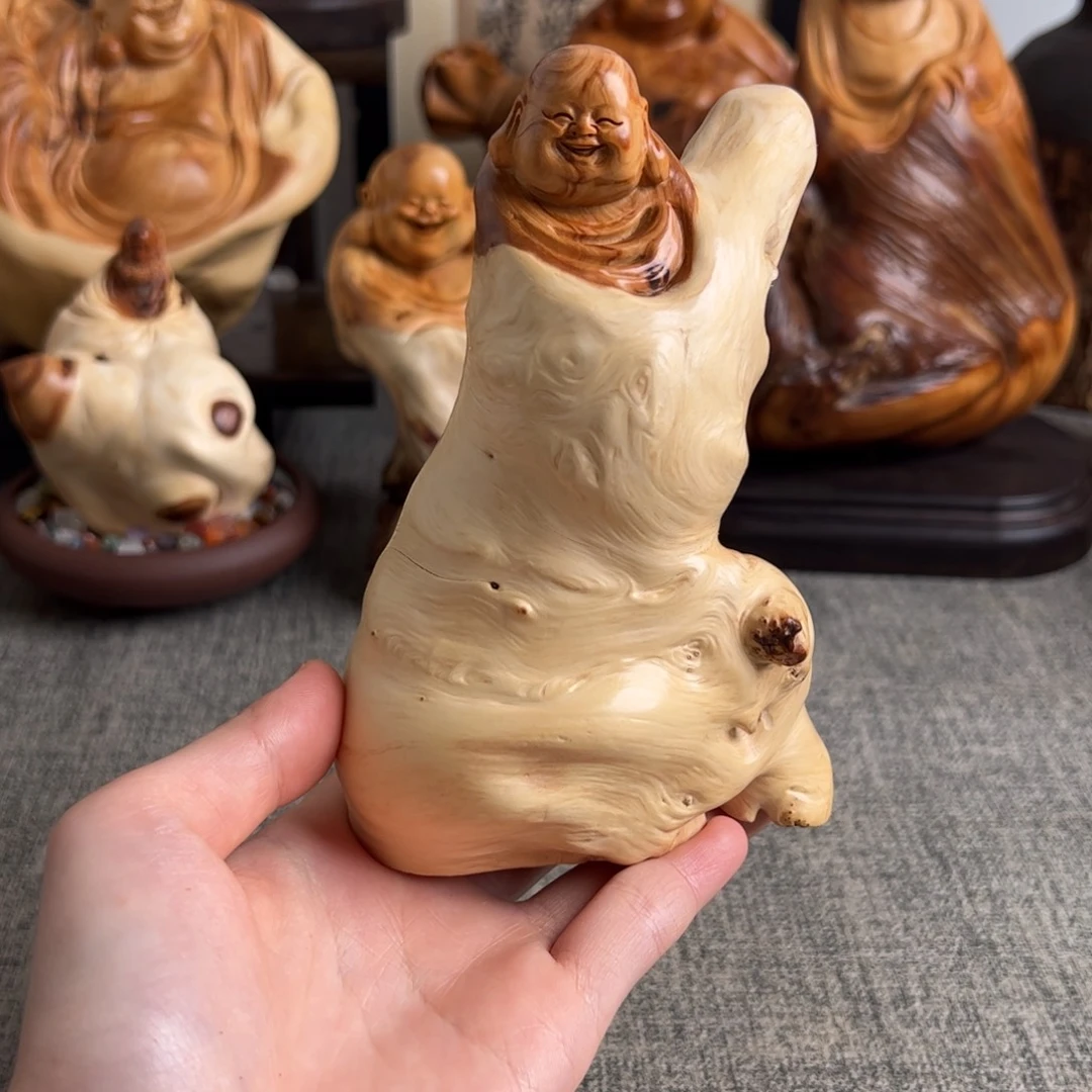 柏木（崖柏）关注一下
