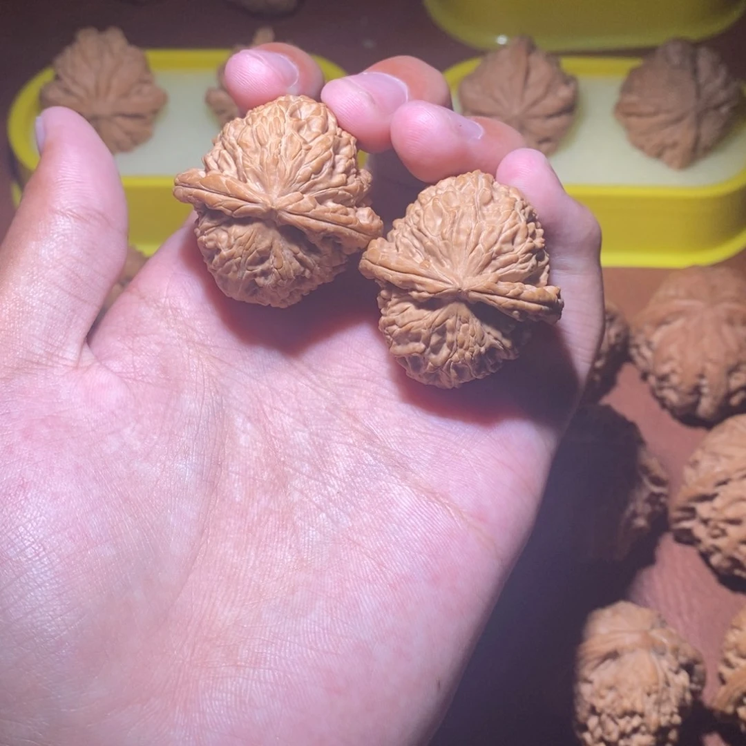 文玩核桃福利三角白37