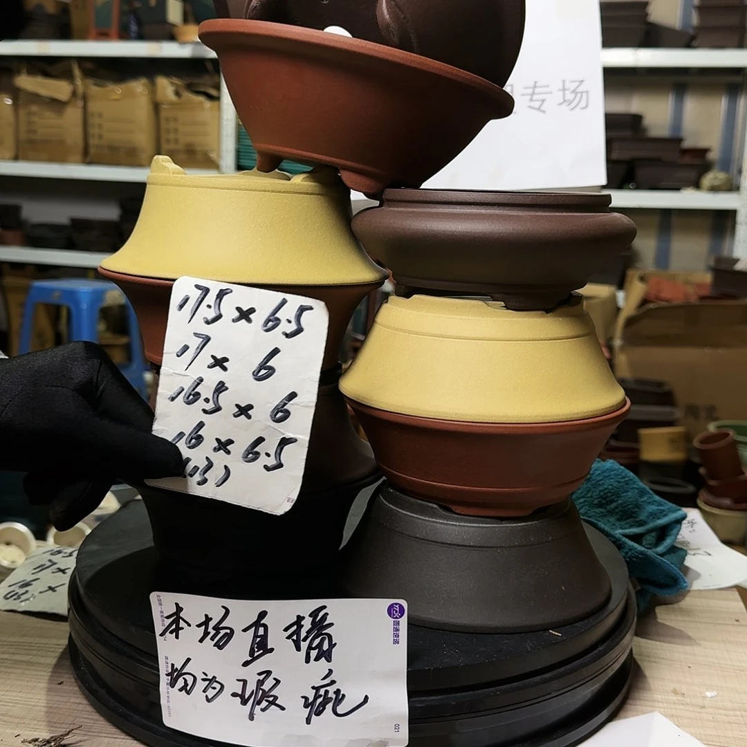 紫砂花盆紫砂花盆紫砂花盆