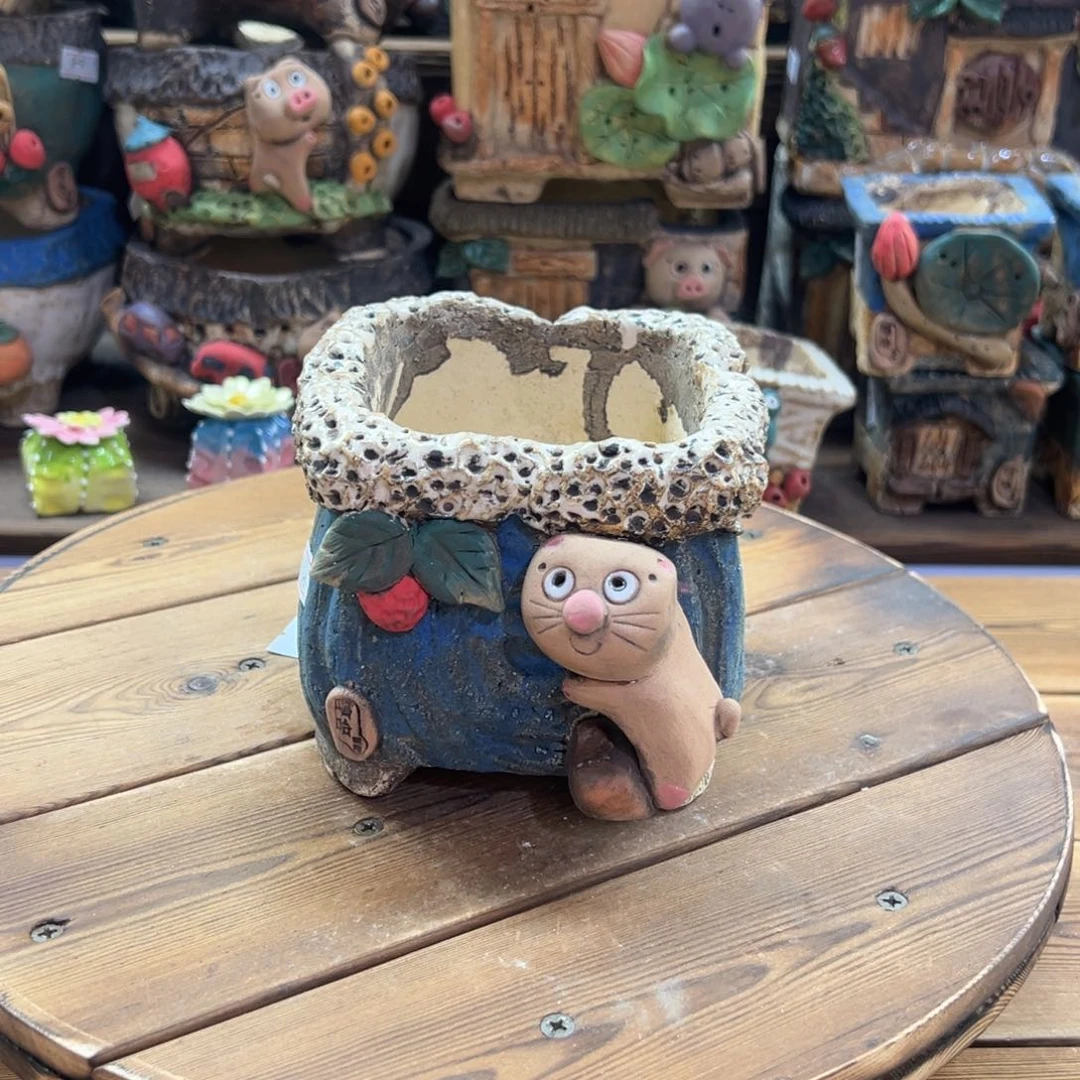 红陶嘻哈多肉花盆