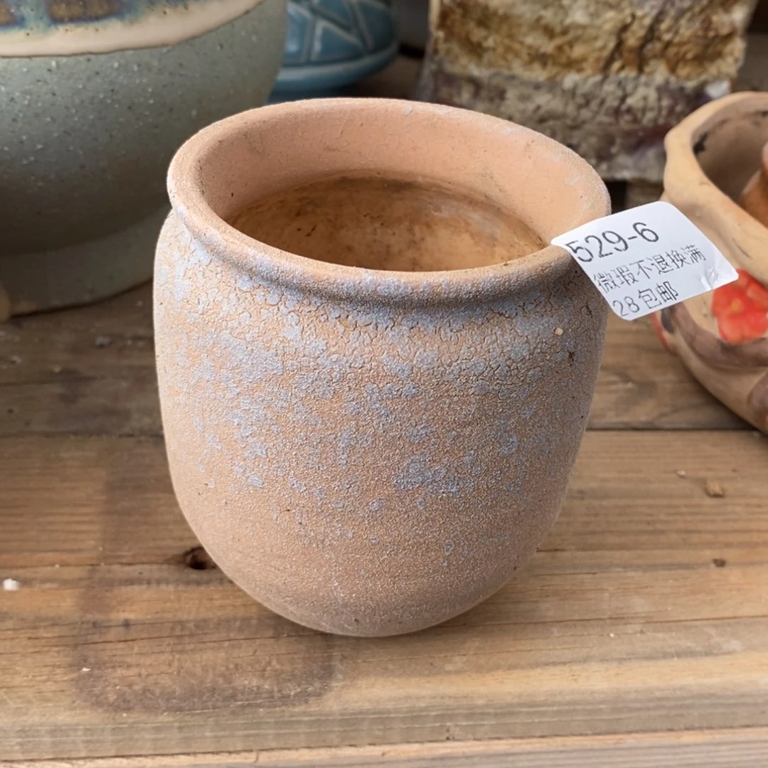 6号多肉盆口径6小可爱