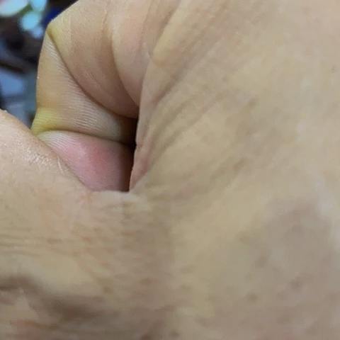 我是不是应该要来用****2
