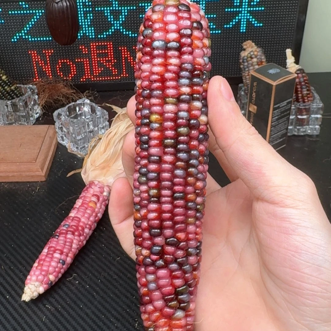 柏香籽/百香籽吊坠李*