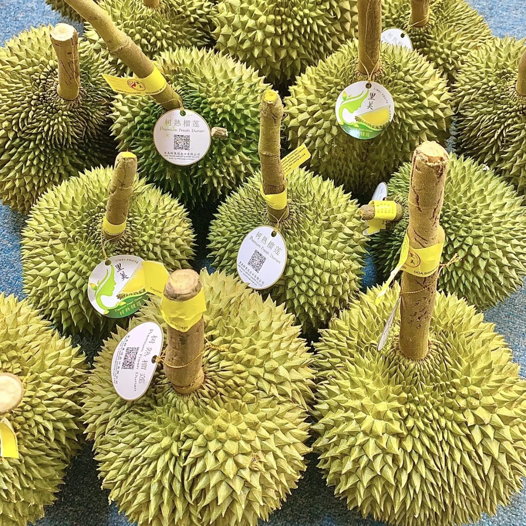 【一物一拍】泰国树熟长柄榴莲