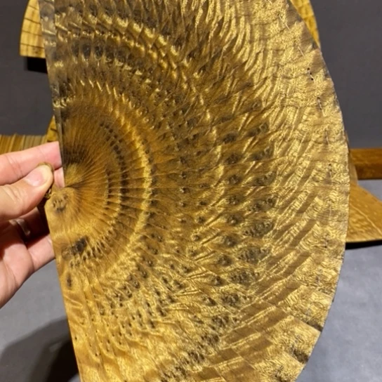 金丝楠黑金龙胆凤尾带瘤疤21Cm