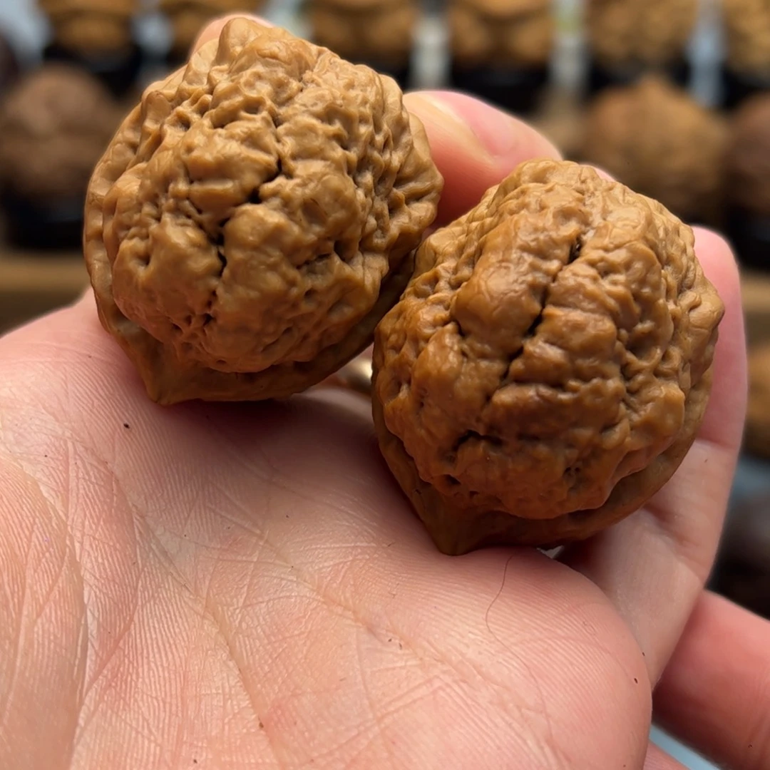 文玩核桃把件铁核桃17-18