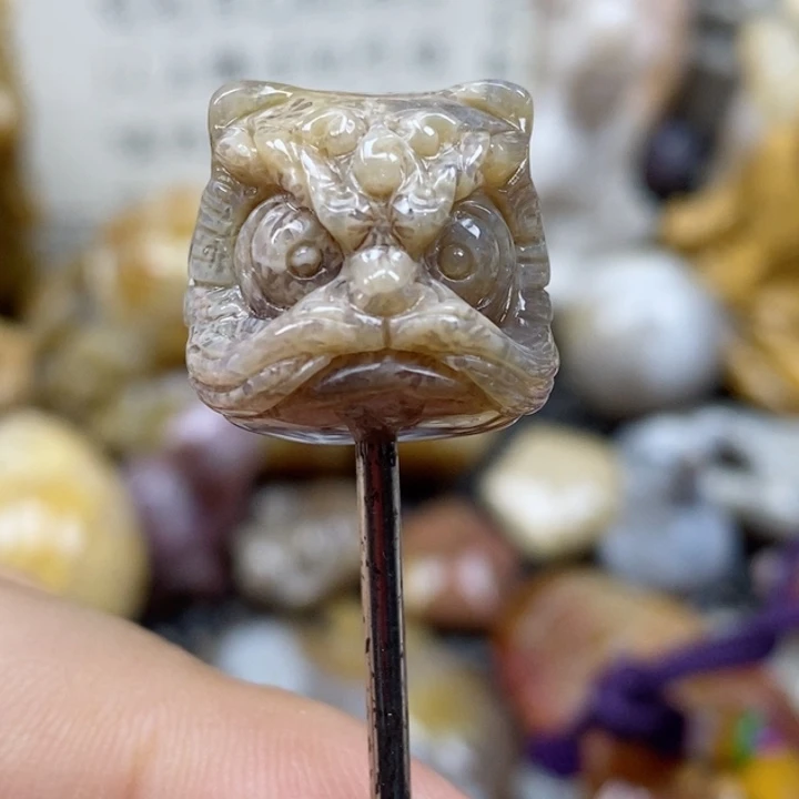 颈饰未镶嵌硅化珊瑚（珊瑚玉）