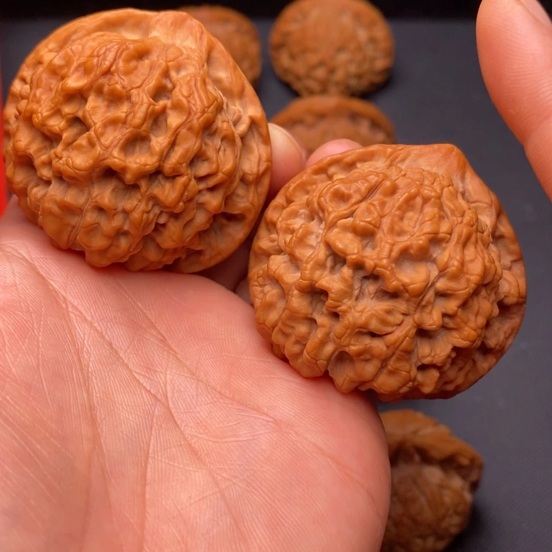 把件文玩核桃秦岭野生植物资源