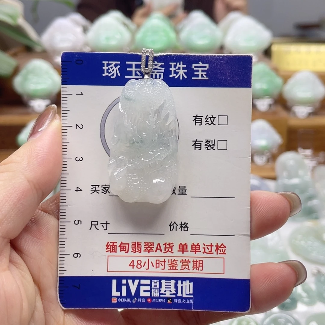 颈饰银S925镶嵌翡翠龙牌