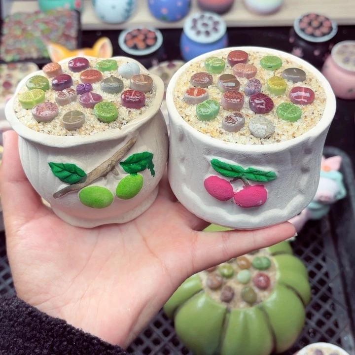 603零下地区记得拍保温箱