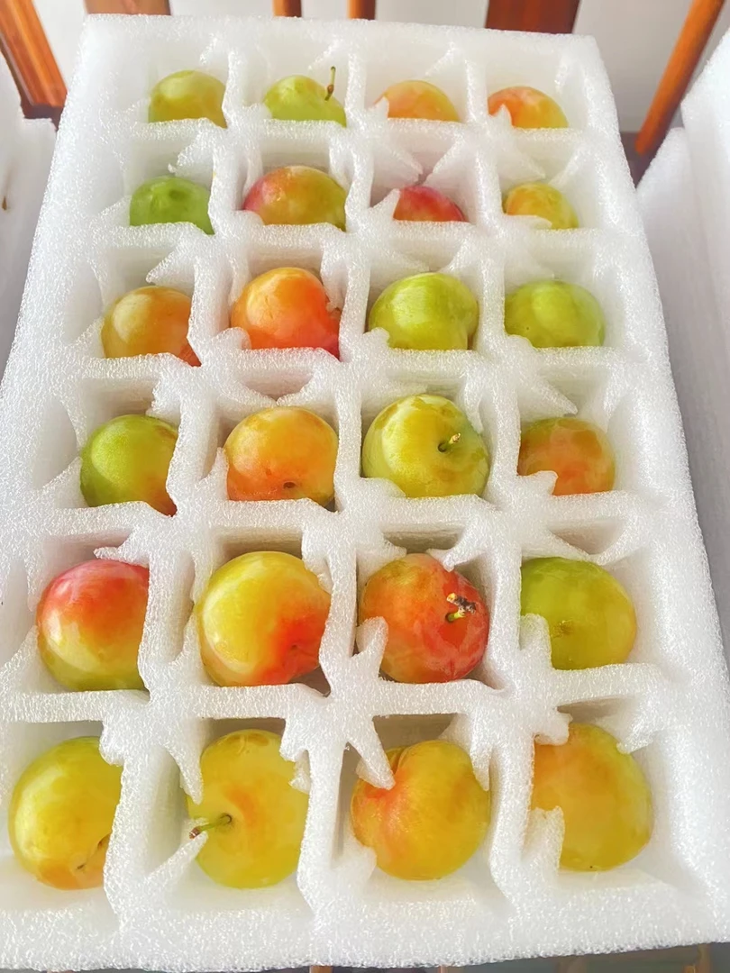 【东山奈李】苏州东山奈子一口爆汁 超好吃的初夏果实