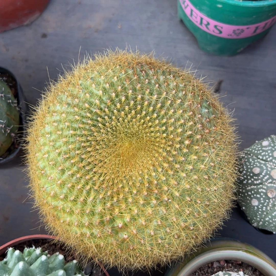 颜***涵零零落落 零零落落