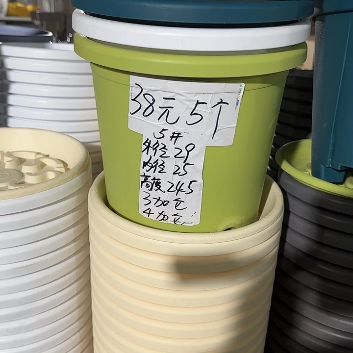 四季5#口径29无托果绿3个