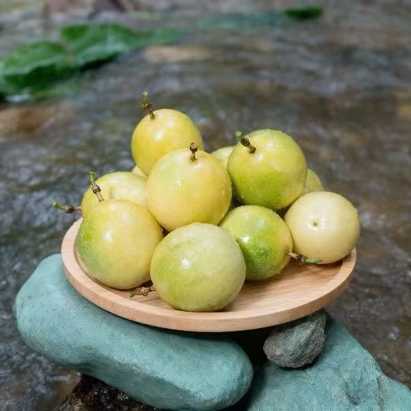 【裕亩耘】钦蜜9号黄金百香果当季新鲜水果多汁饱满