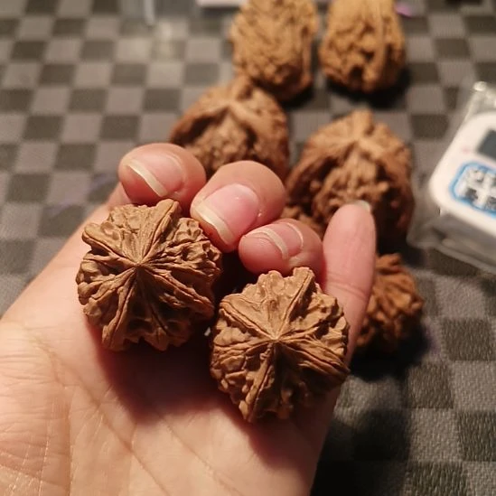 鱼***大四棱四棱四棱四棱